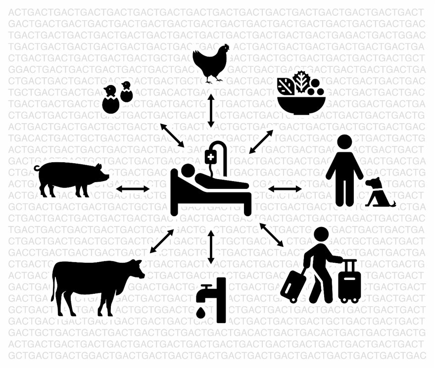 The lot of any epidemiologist