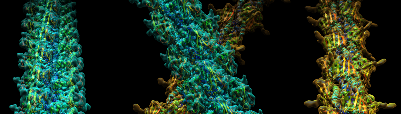 A new twist on bacterial pili revealed by high-resolution cryo-electron microscopy