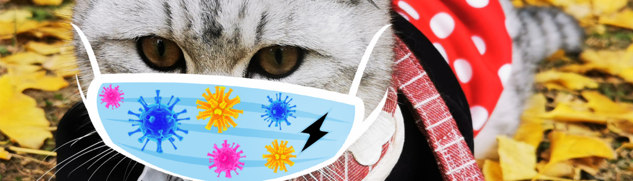 Self-powered air filter: protect us from the particulate matter pollution