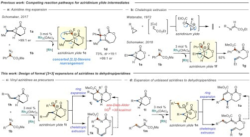 Ring expansion of aziridines to dehydropiperidines