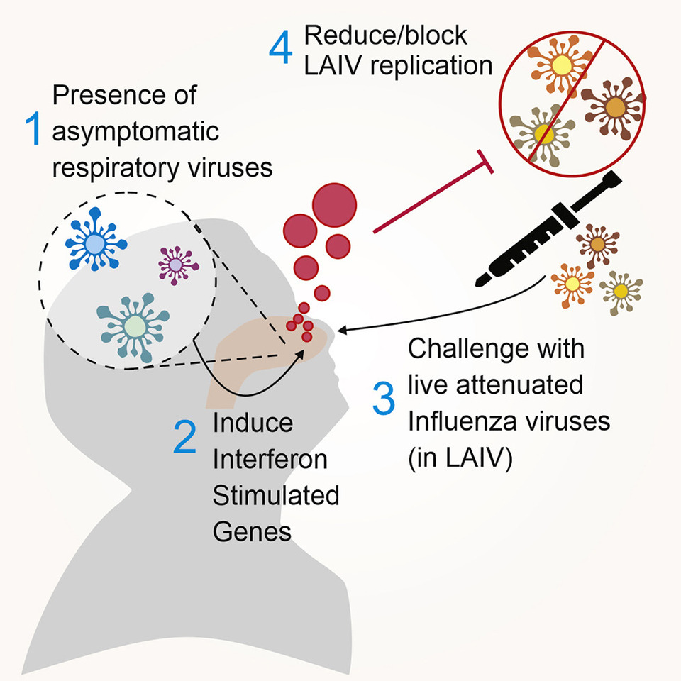 The complex world of the child’s nose.