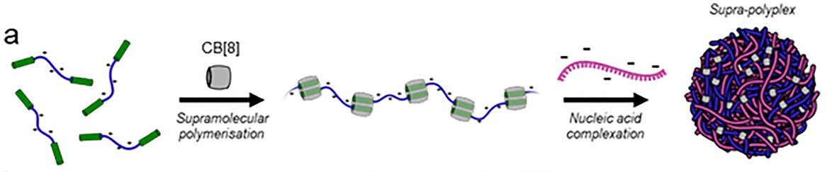 Build your own vaccine