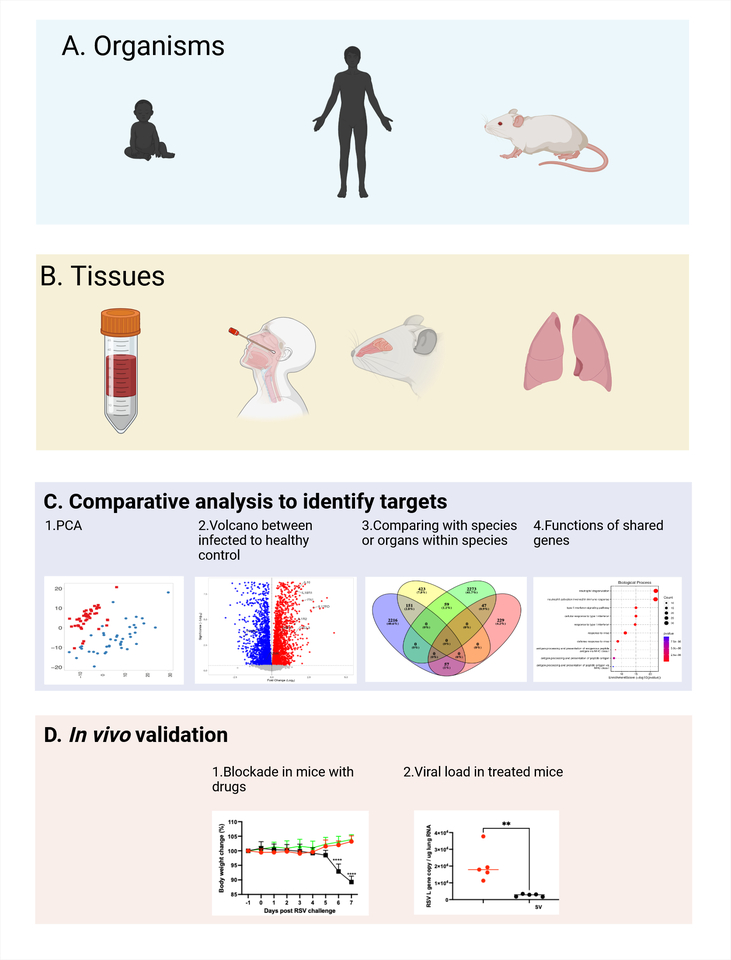 All models are wrong, some are useful