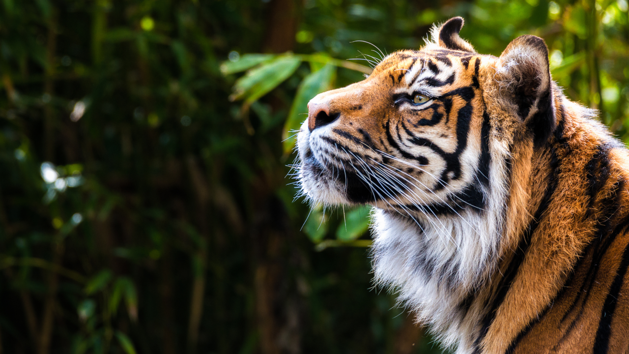 Join our leadership workshop Tune into Your Truth. Early bird ends Jan 7! 