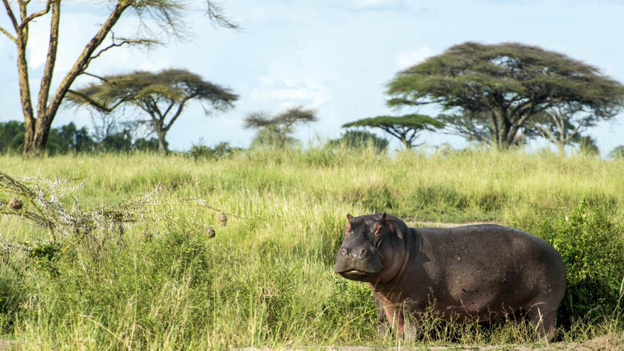 Leadership Workshop: Tune into Your Truth on February 15 🦛
