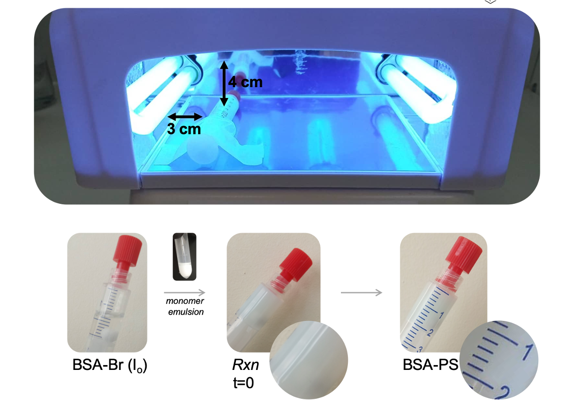 Synthesis of protein-polymer bioconjugates in a syringe