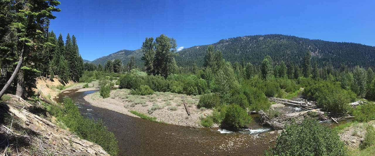 Unraveling a migration and conservation mystery