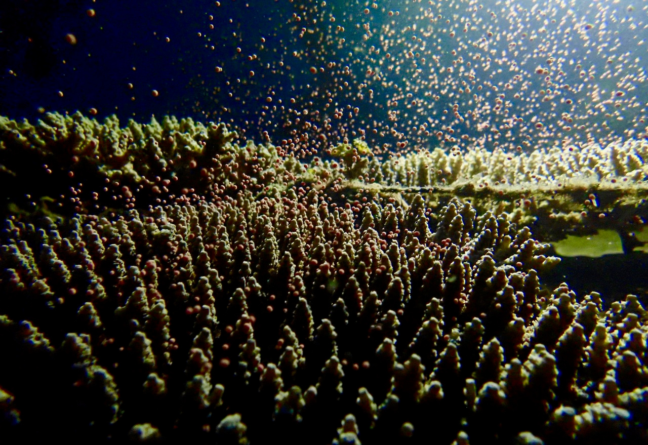 When company becomes a crowd