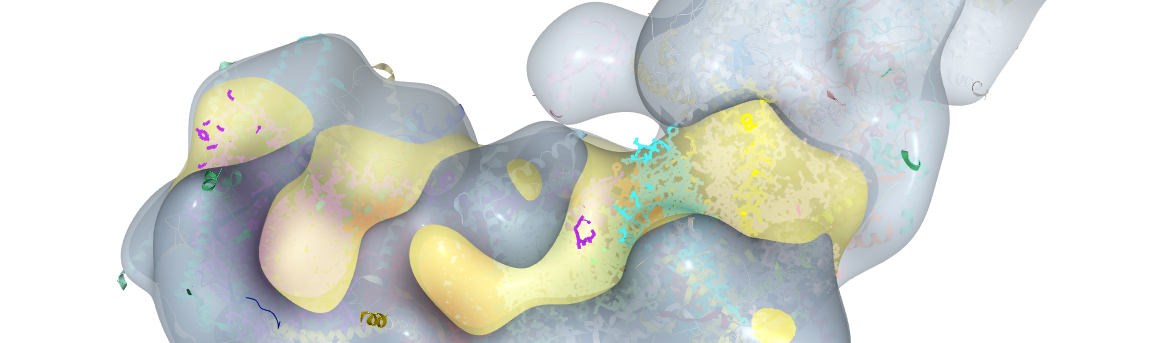 OXPHOS remodeling in high-grade prostate cancer involves mtDNA mutations and increased succinate oxidation