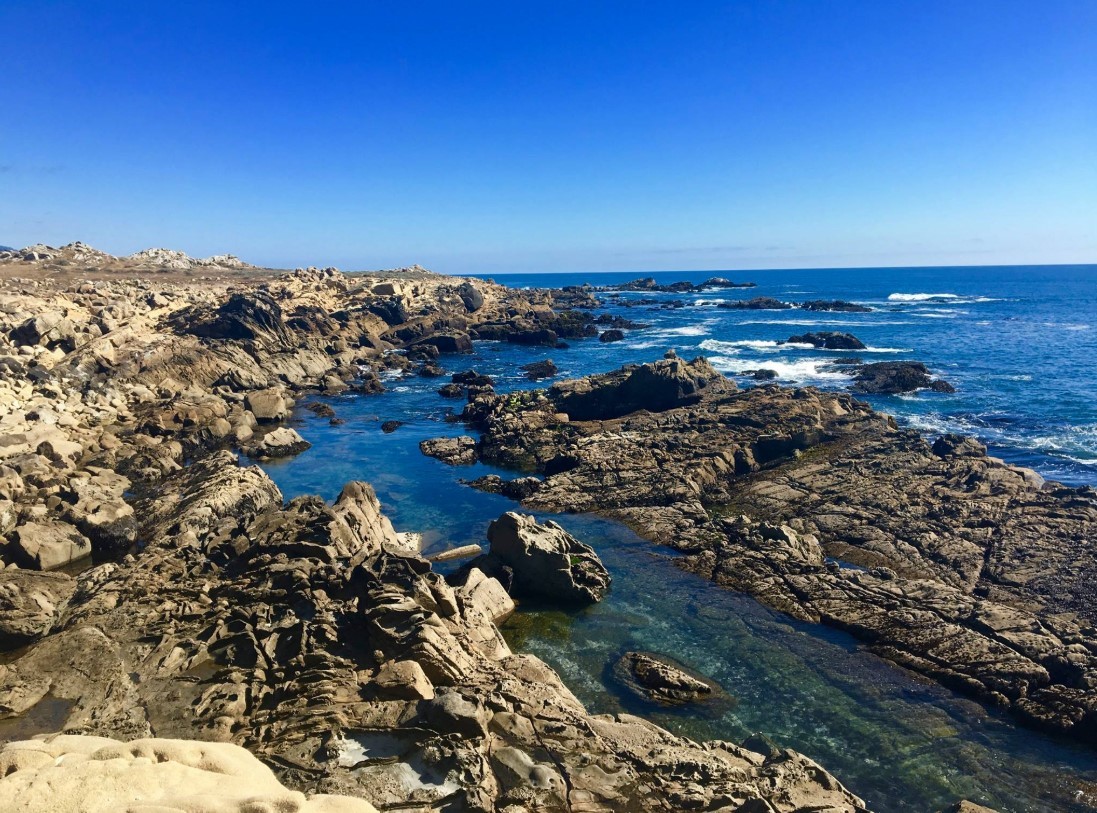 Hi There, I'm Julie D.