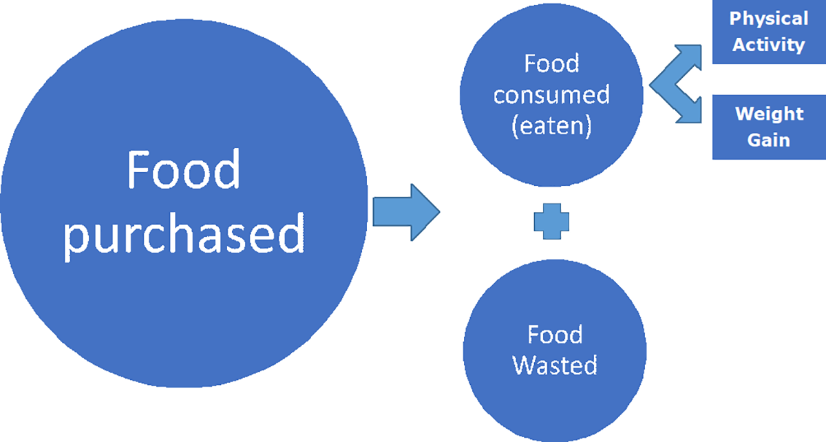 Taking a different approach to look at Consumer Food Waste and the findings 