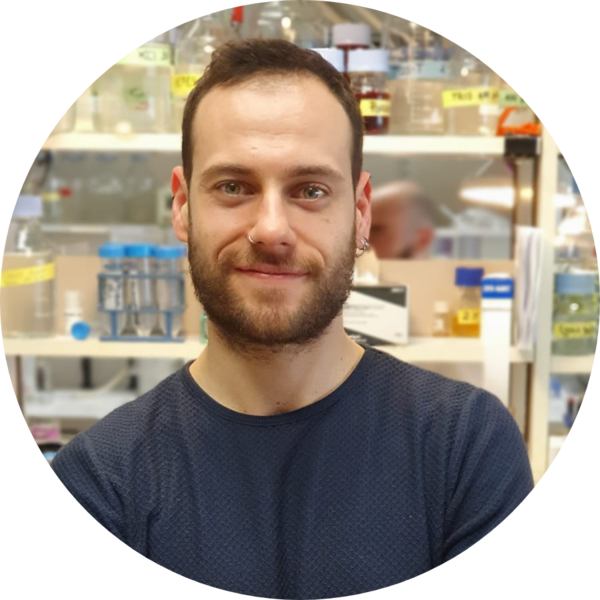 Go to the profile of Adrià Sogues