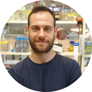 Go to the profile of Adrià Sogues