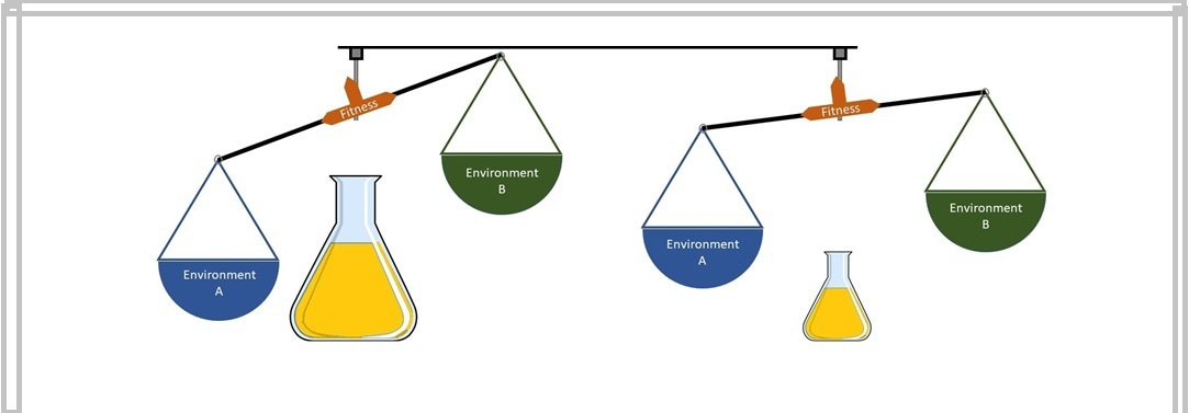 Generalists or specialists? Population size can be an important determinant