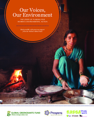 The state of funding for women’s environmental action