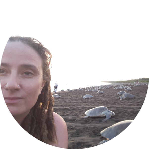 Go to the profile of Helen Pheasey