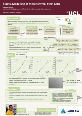 Kinetic Modelling of Mesenchymal Stem Cells