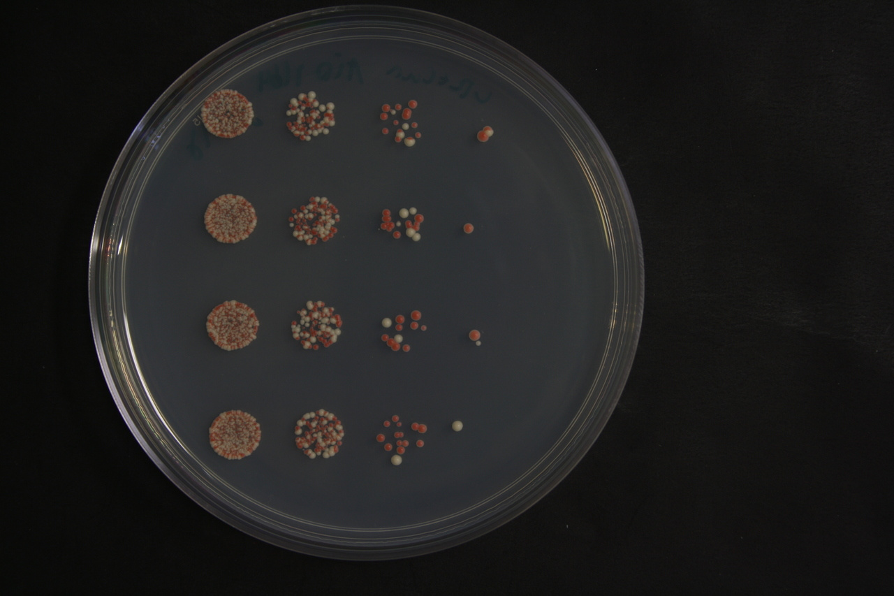 Breaking the trade-off between quantity and depth