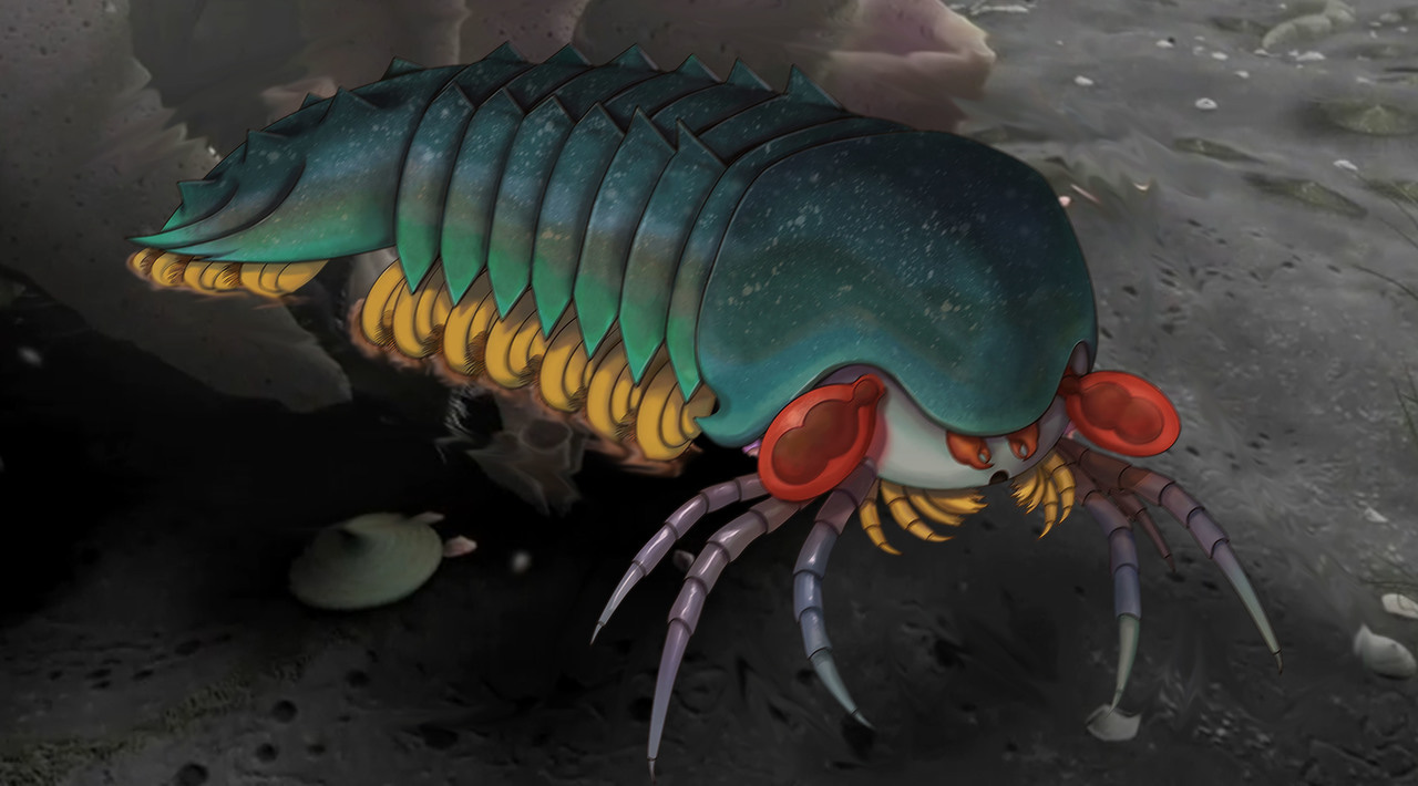 Burgess Tales of Arachne