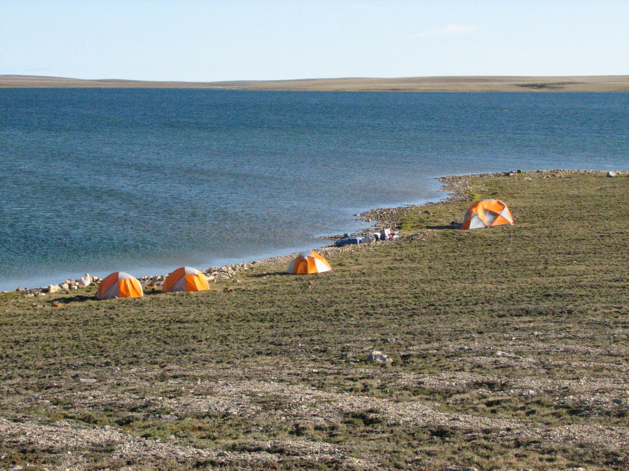 Adventures in the Arctic