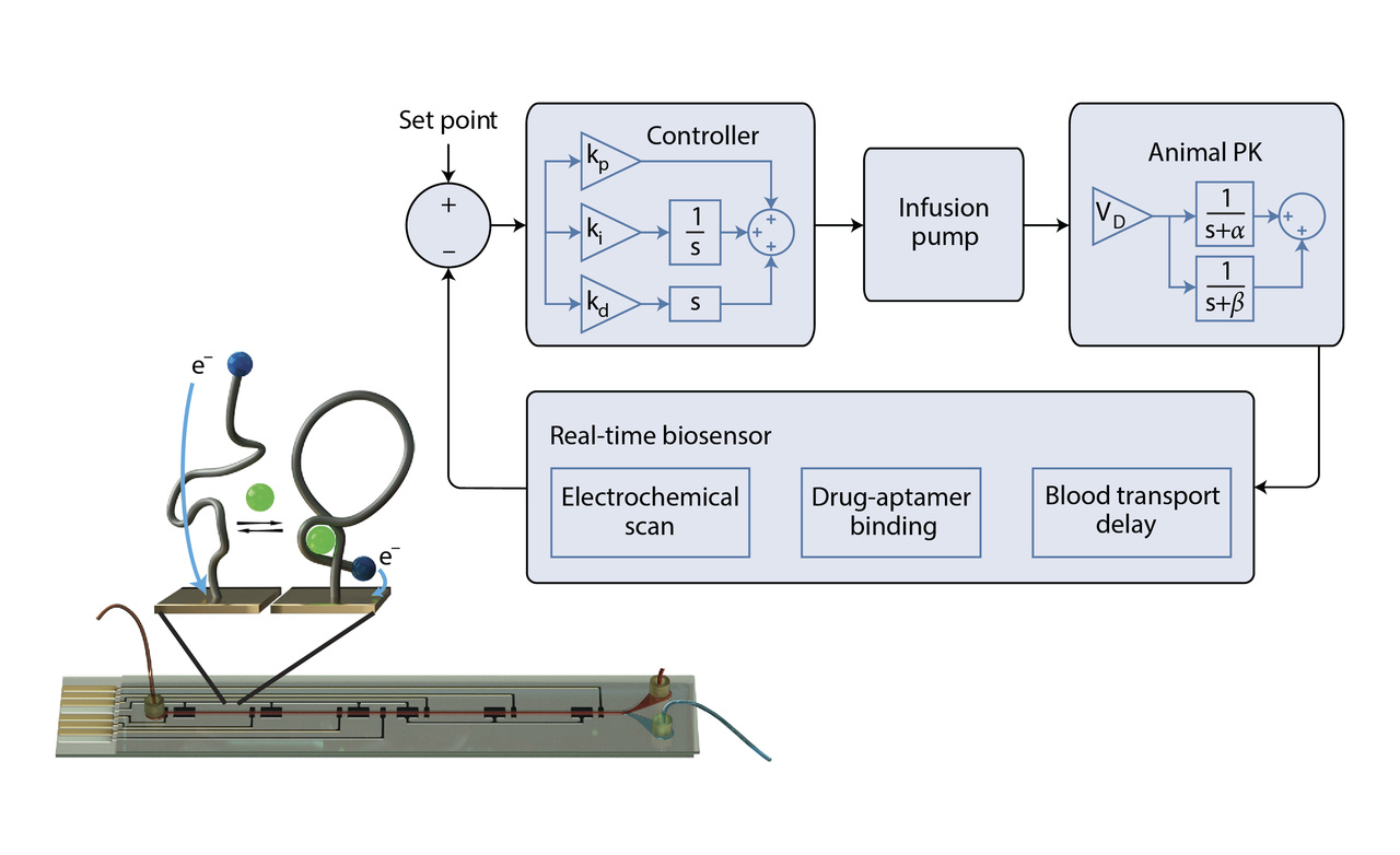 Personalized drug dosing through closed-loop control