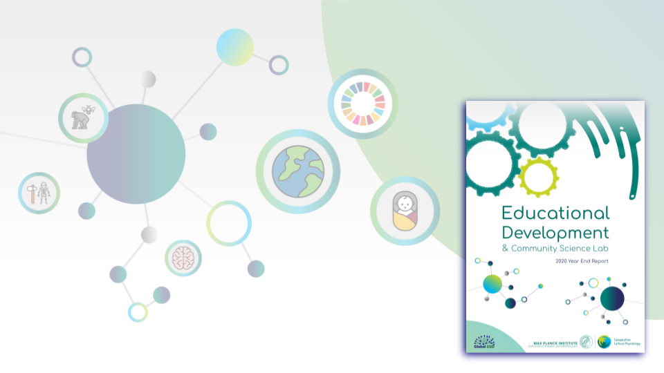 Evolving Evolution Education: 
2020 in Review