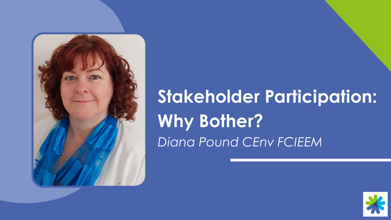 Stakeholder Participation: Why Bother? 