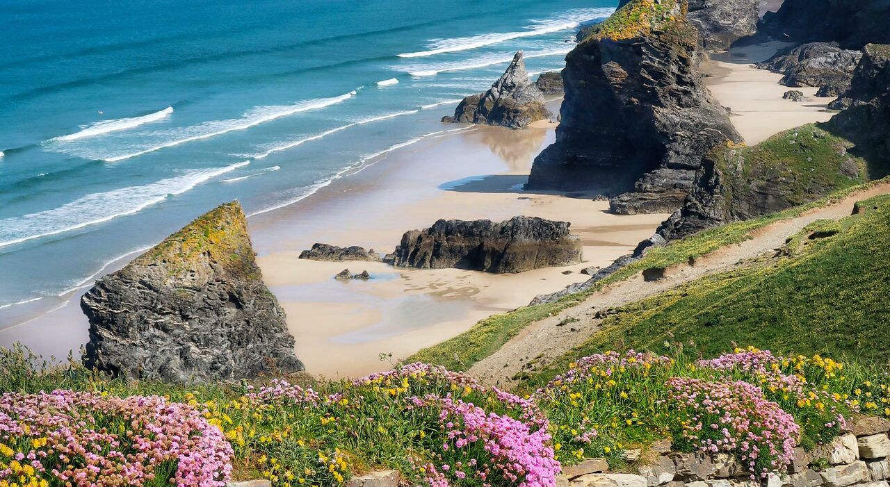 Online Training: Inclusive Engagement