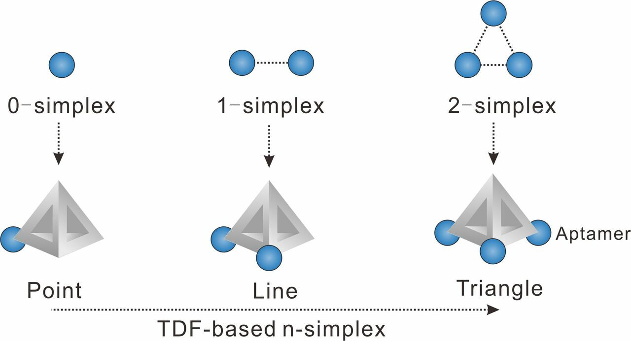 Capturing cells using topological framework nucleic acids