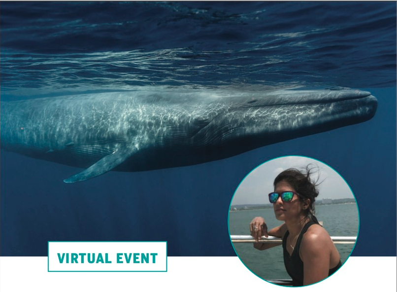 Tues June 1st - How Sri Lanka’s Blue Whales Spurred A New Marine Conservation Model: A Conversation with Asha de Vos