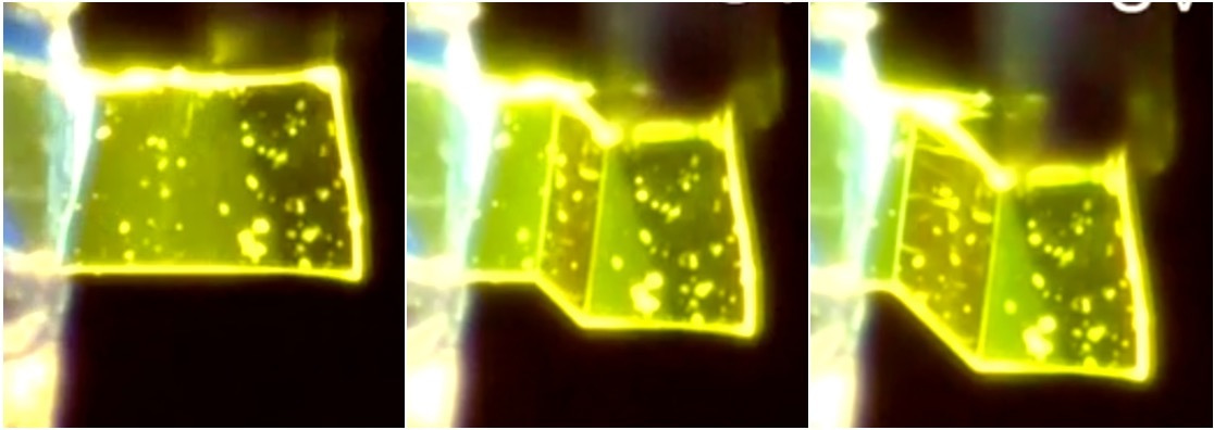 Superelastochromic organic crystal