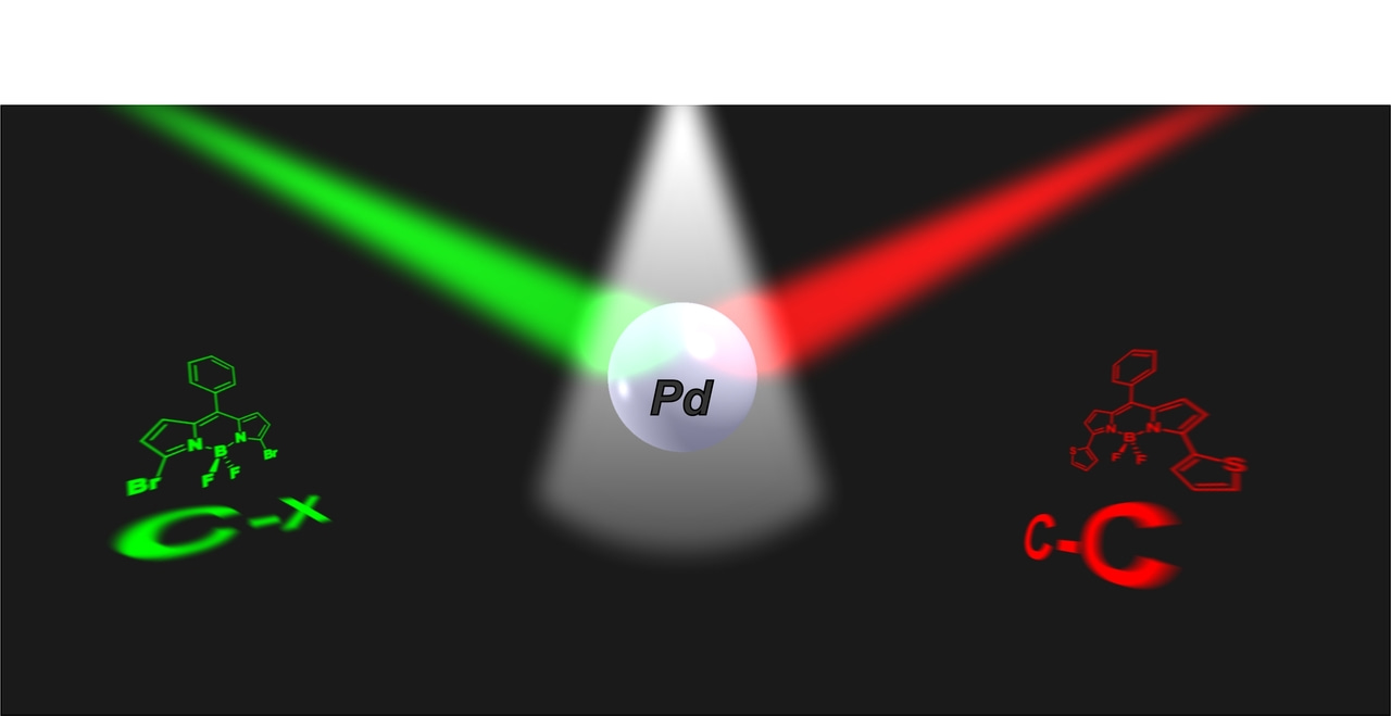 Disclosing the heterogeneous phase of a Suzuki-Miyaura reaction by advanced fluorescence microscopy technique