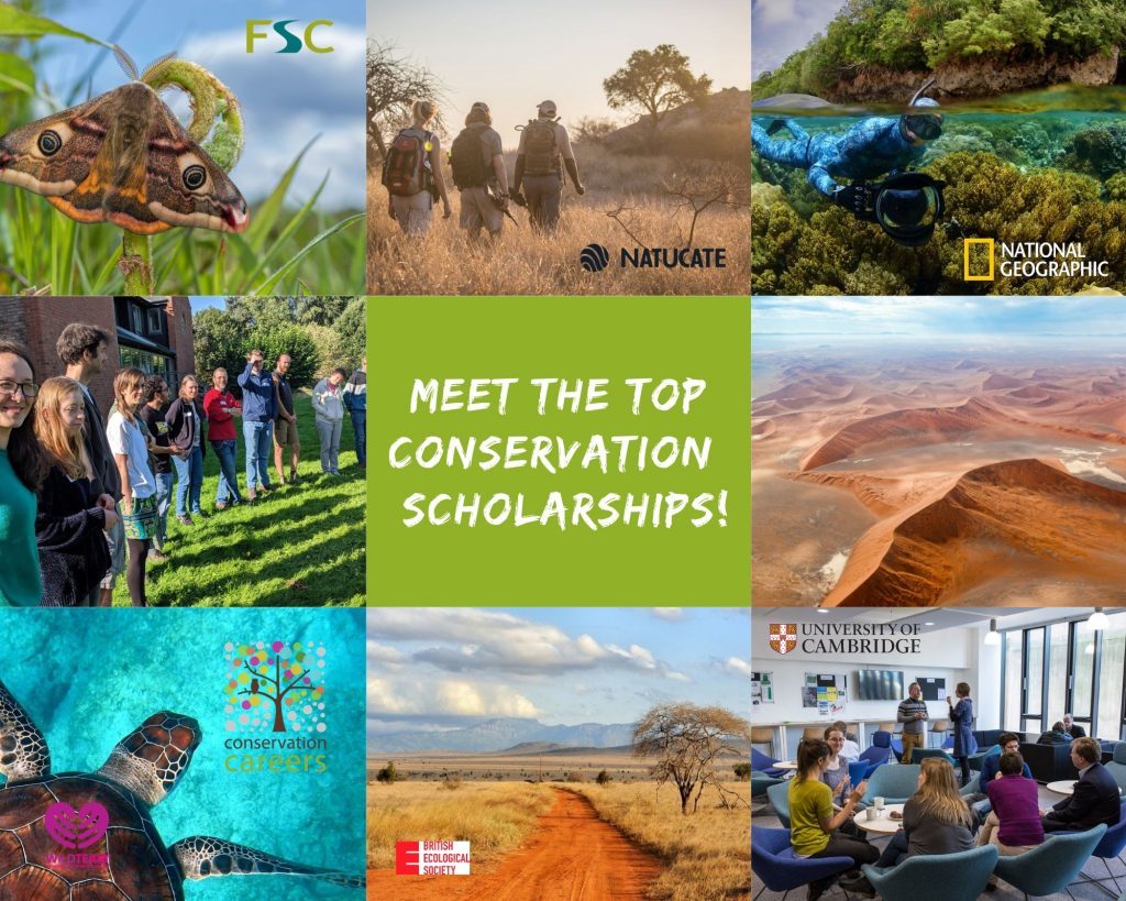 Top Conservation Scholarships | Training, Experiences & Research Projects