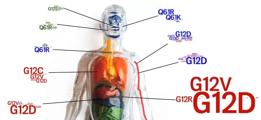 Capturing the primordial Kras mutation initiating urethane carcinogenesis.