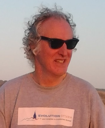 Go to the profile of Octávio S. Paulo