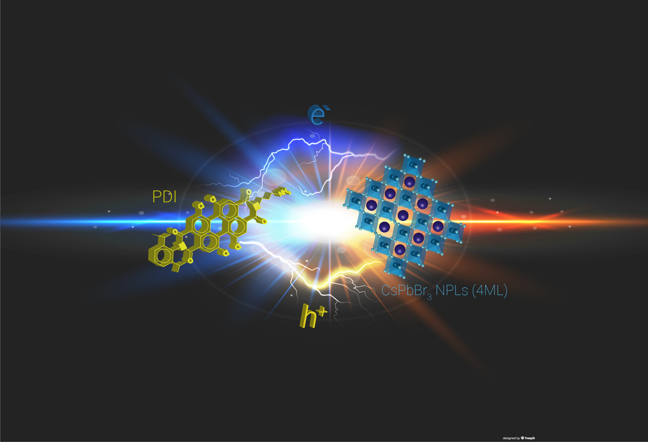 Designer materials: Combining the strengths of hybrid halide perovskites and organic semiconductors