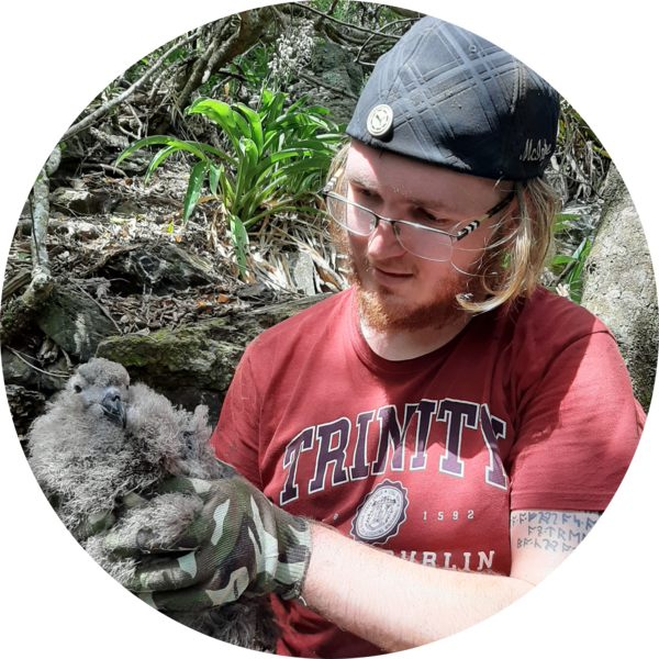 Go to the profile of Spencer McIntyre