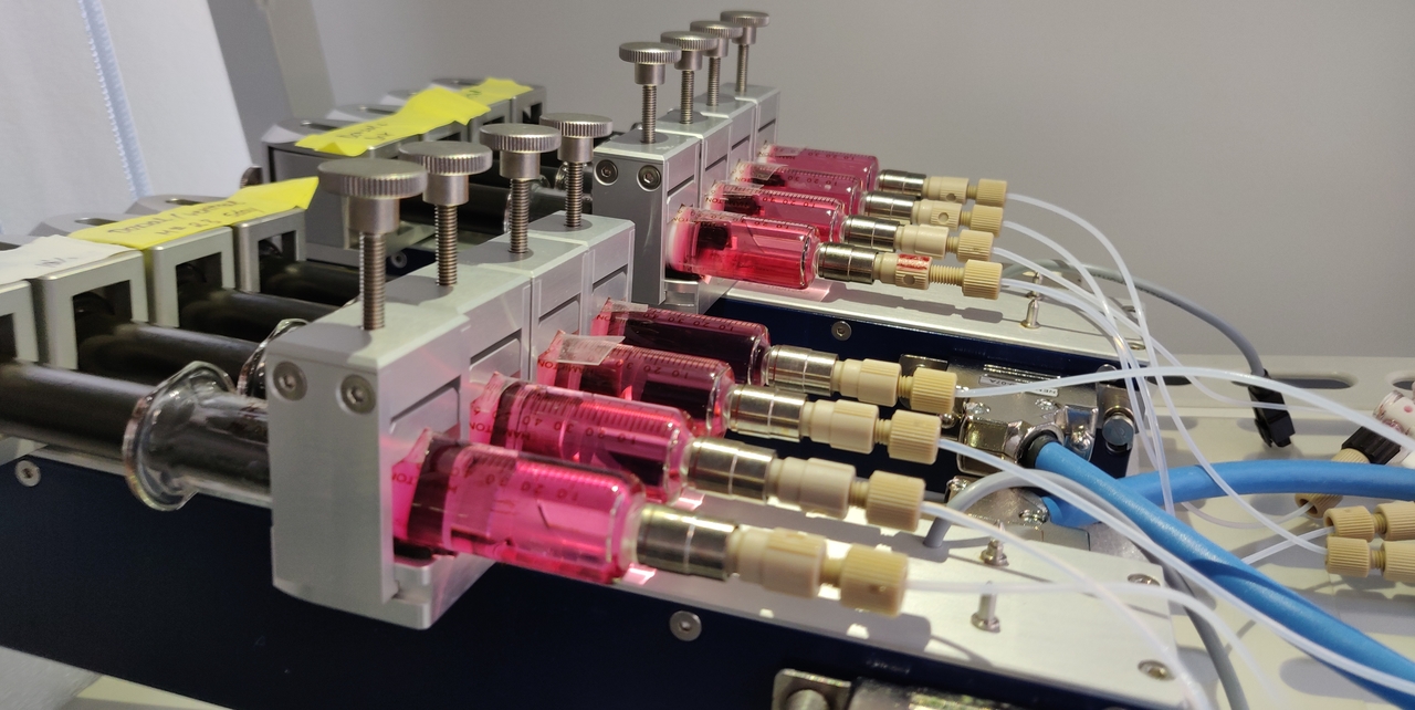 Recreating the organization of the human brain in a dish