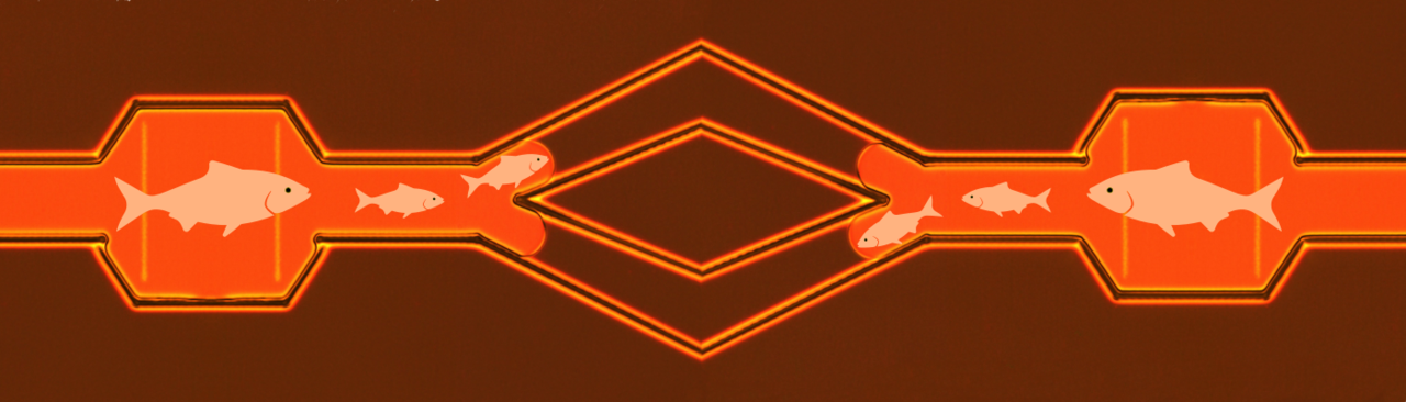 Bringing Order to Disorder in Liquid Crystals