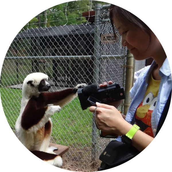 Go to the profile of Jocy