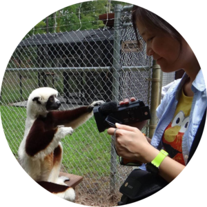 Go to the profile of Jocy