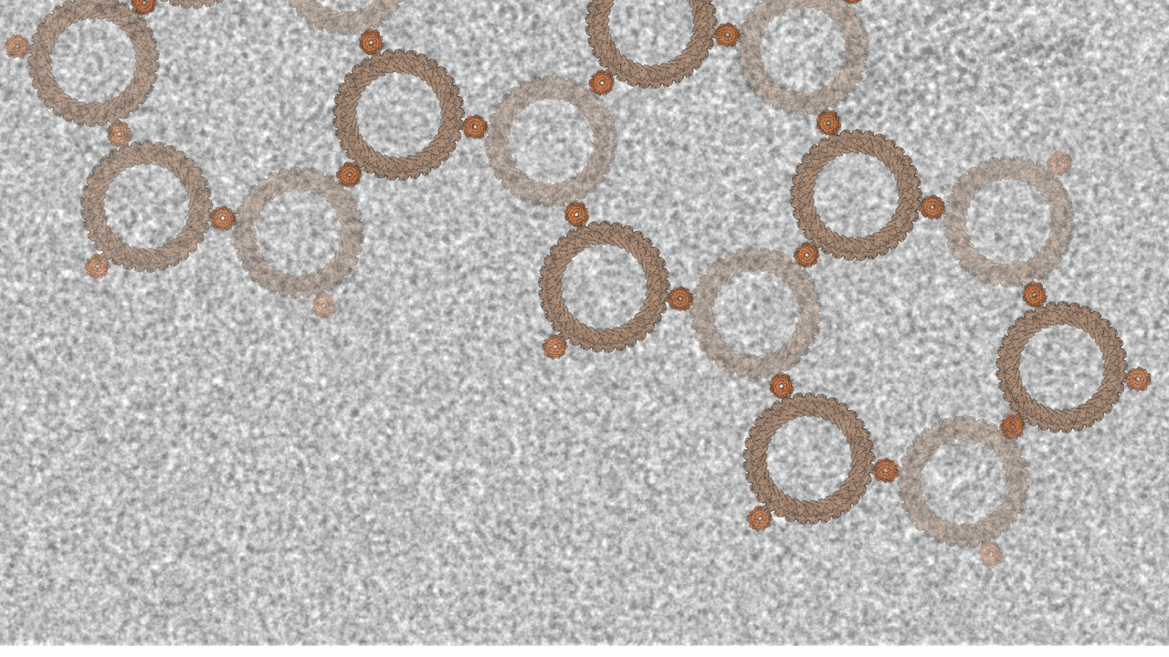 .....let slip the cogs of war