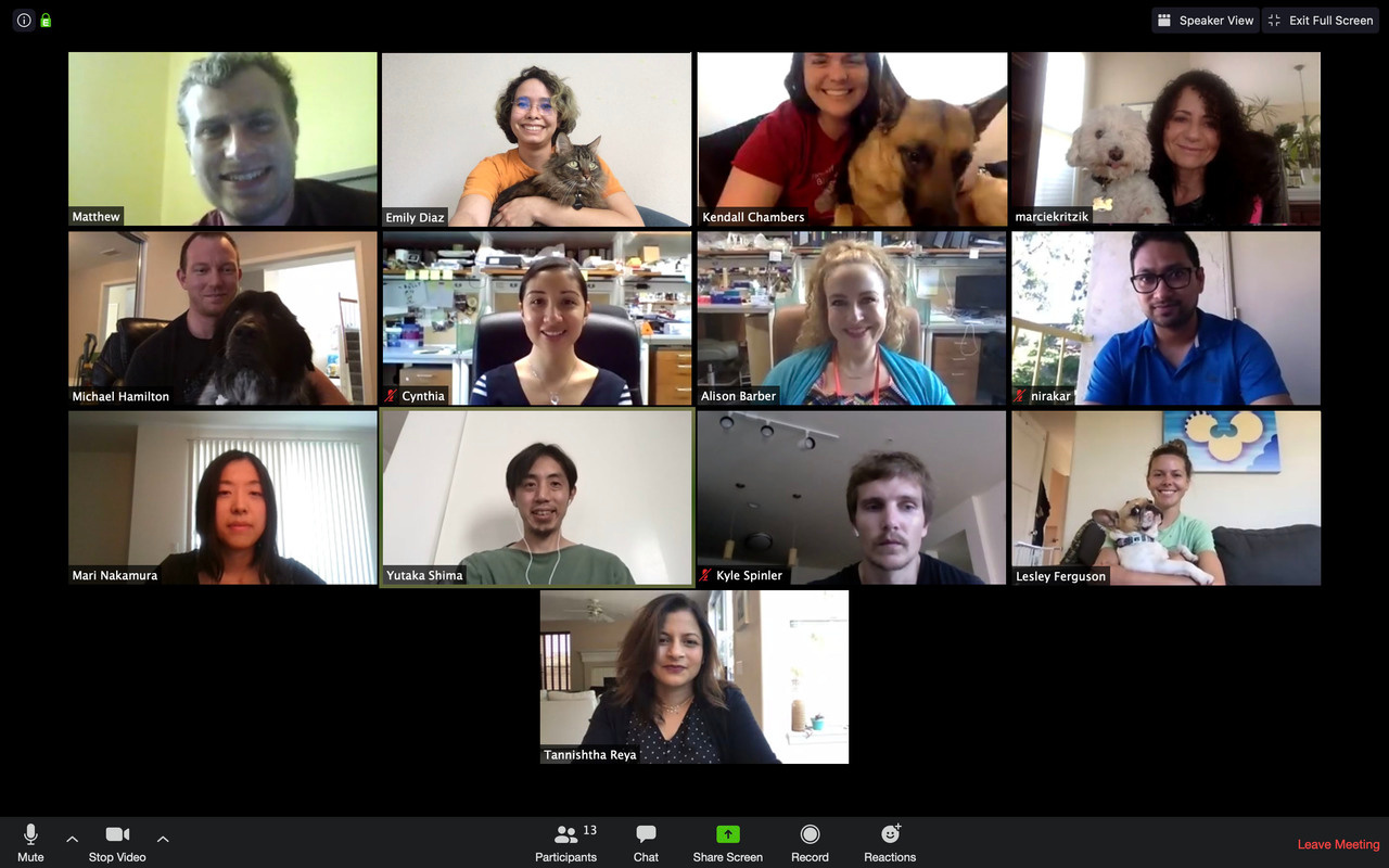 Cancer research in the age of COVID-19