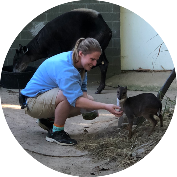 Go to the profile of Kate Clemens