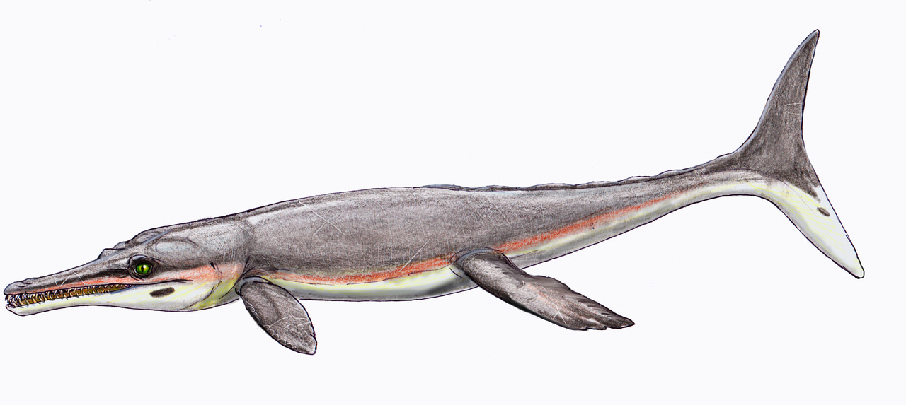 Inner ears give a unique insight into ancient crocodile relatives