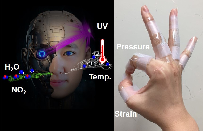 Metal Oxide Nanofibers for Multimodal and Monolithically Integrated Wearable Electronics