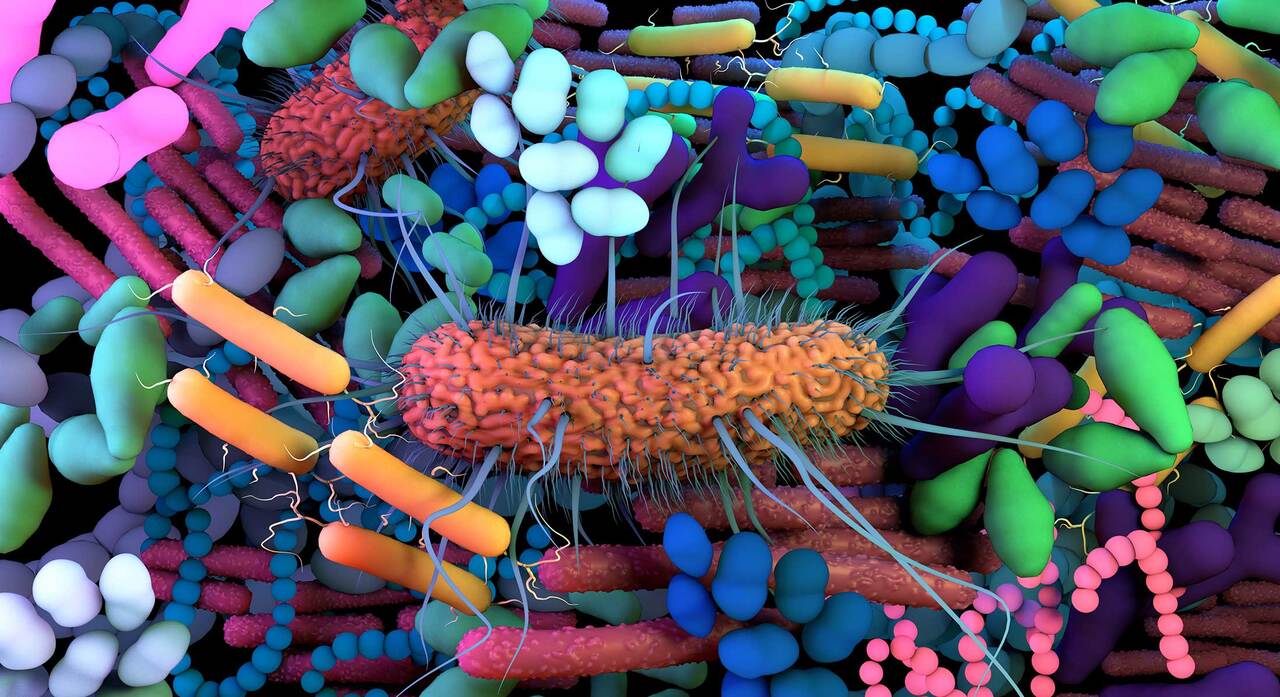 Rethinking Colorectal Cancer Through the Gut Microbiome