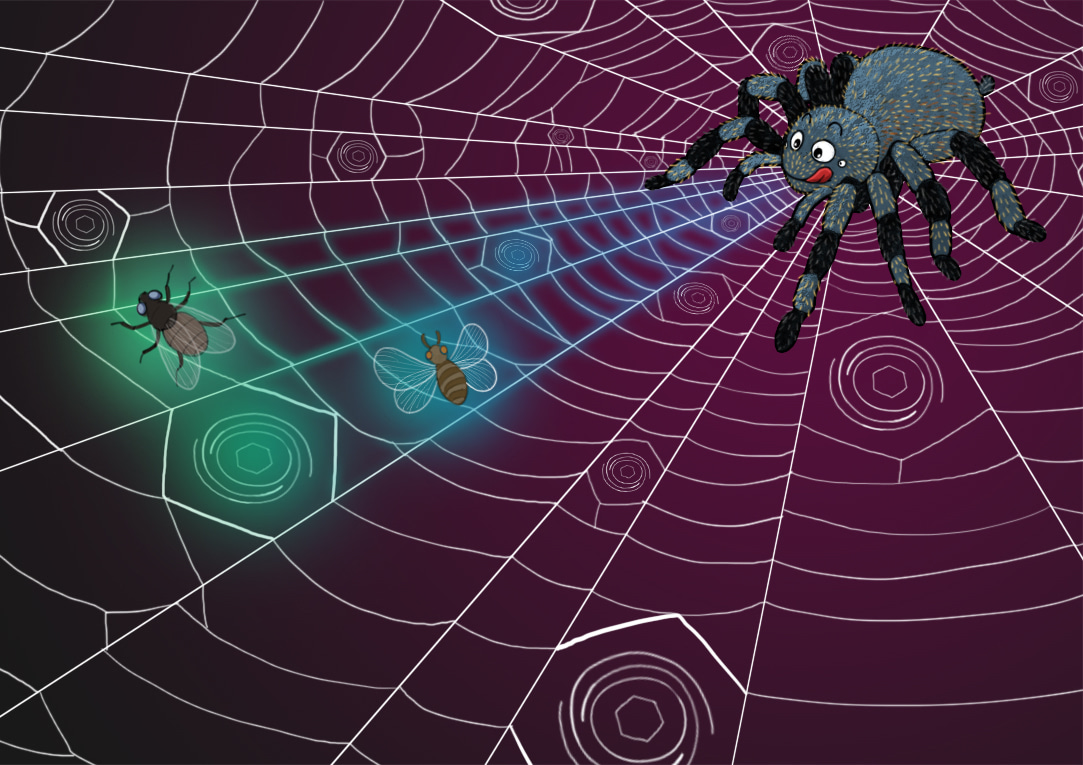 Randomly coupled resonators: A strategy for identifying vibration sources with a single sensor