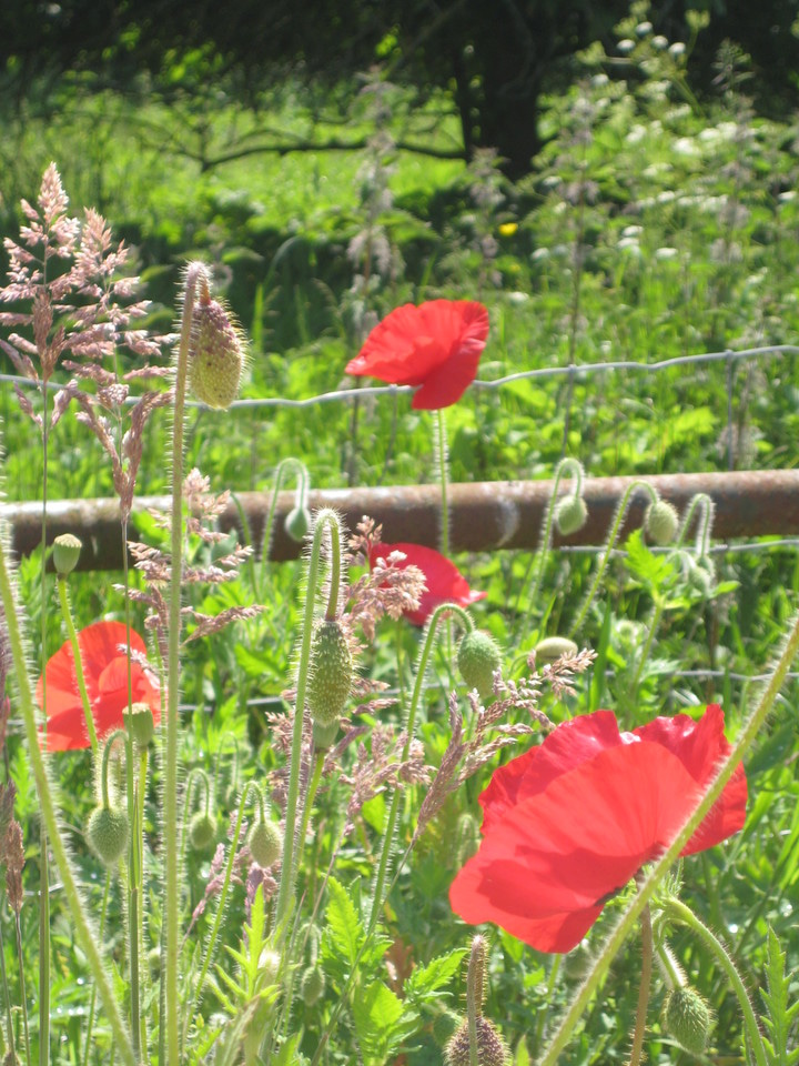 Situation Analysis Examples