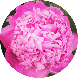 Go to the profile of Aurora L.